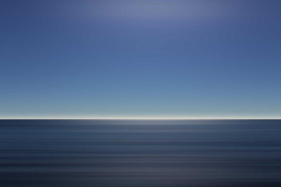 Anatomy and physiology themed image