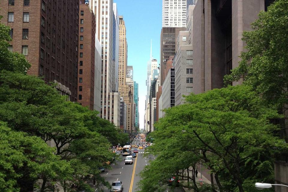 Microbiology themed image